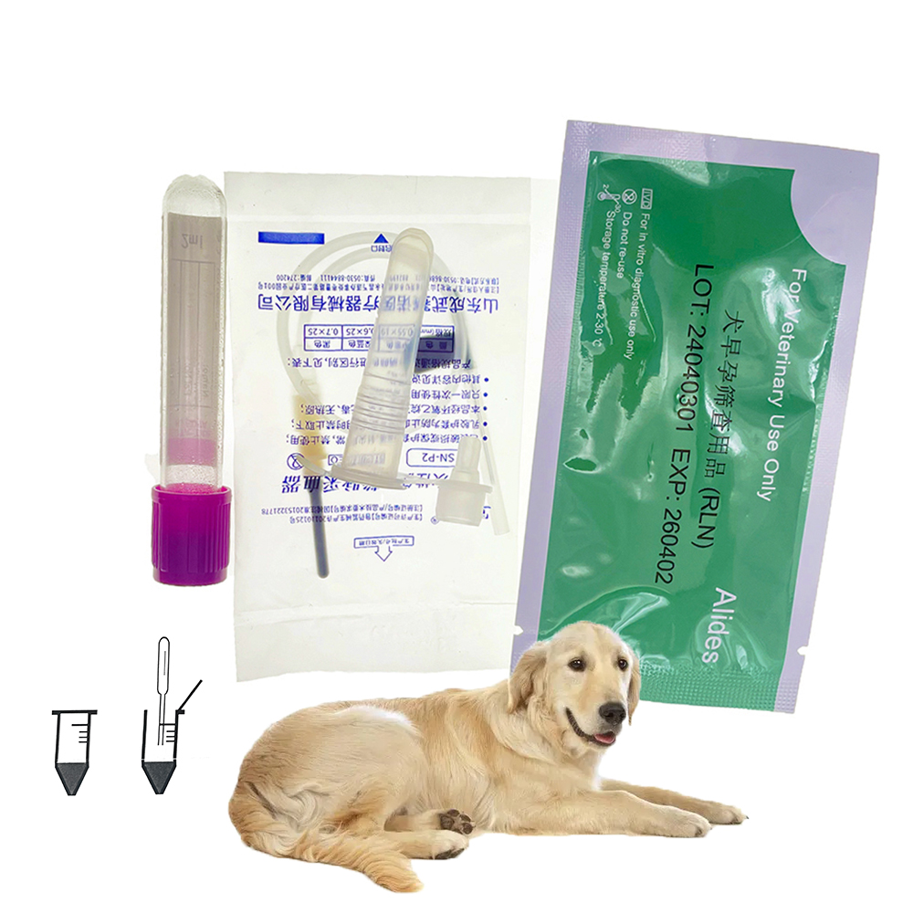 Urine Analyzer Strip - 전문 애완견 임신 테스트 키트, 빠른
